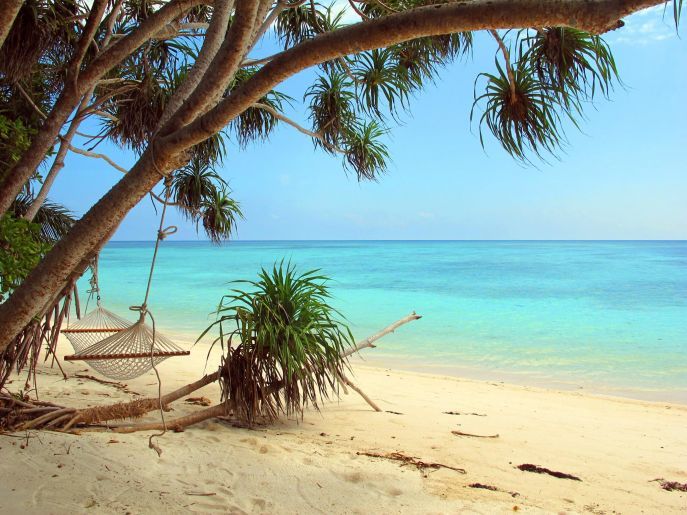 Tag 3 - Fähre Pulau Lankayan - Sandakan